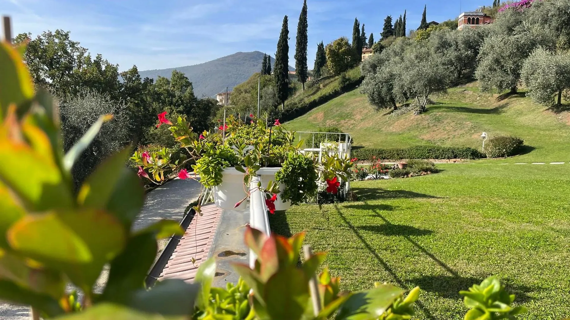 Chalet Vela Natura E Relax location