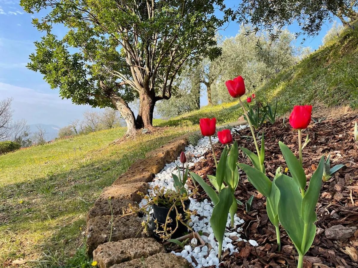 Willa Chalet Vela Natura E Relax Gavardo